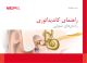 25409 2.0 Candidacy Guidelines Booklet (farsi) (digital)